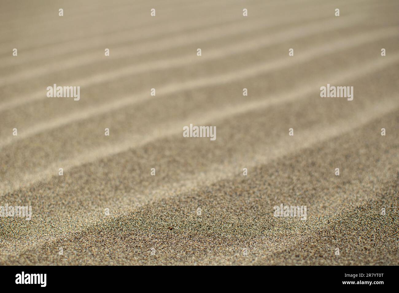 Ein abstraktes Makrobild von Wellen, die vom Wind in Strandsand gehauen wurden. Stockfoto