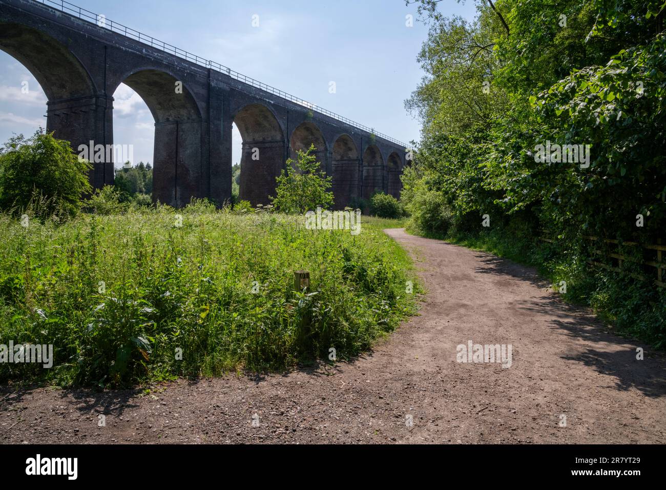 Eisenbahnviadukt über den Fluss im Red Vale Country Park, Stockport, Greater Manchester, England. Stockfoto