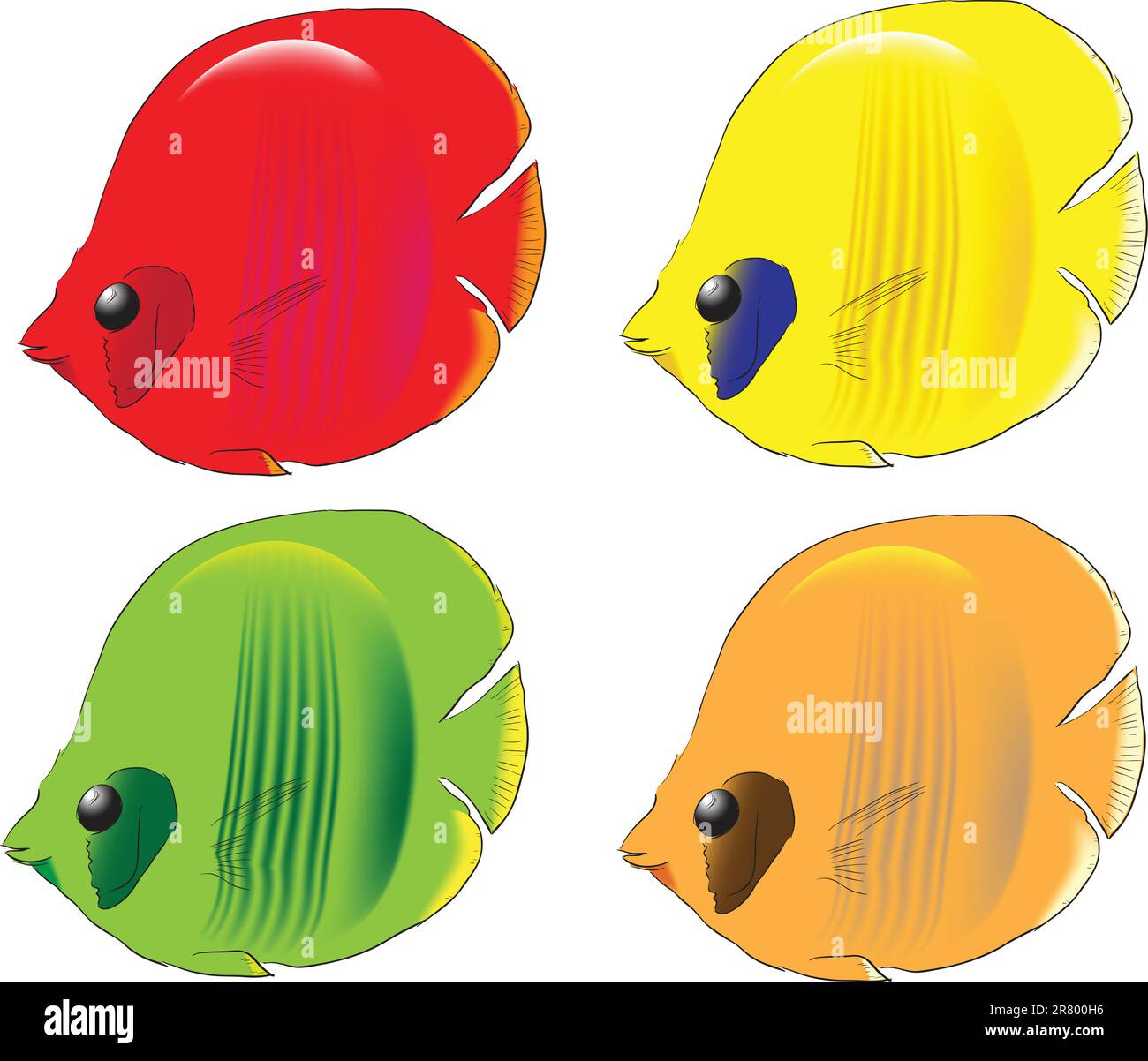 Farbvarianten der Fische in den südlichen Meeren. Vektordarstellung. Stock Vektor