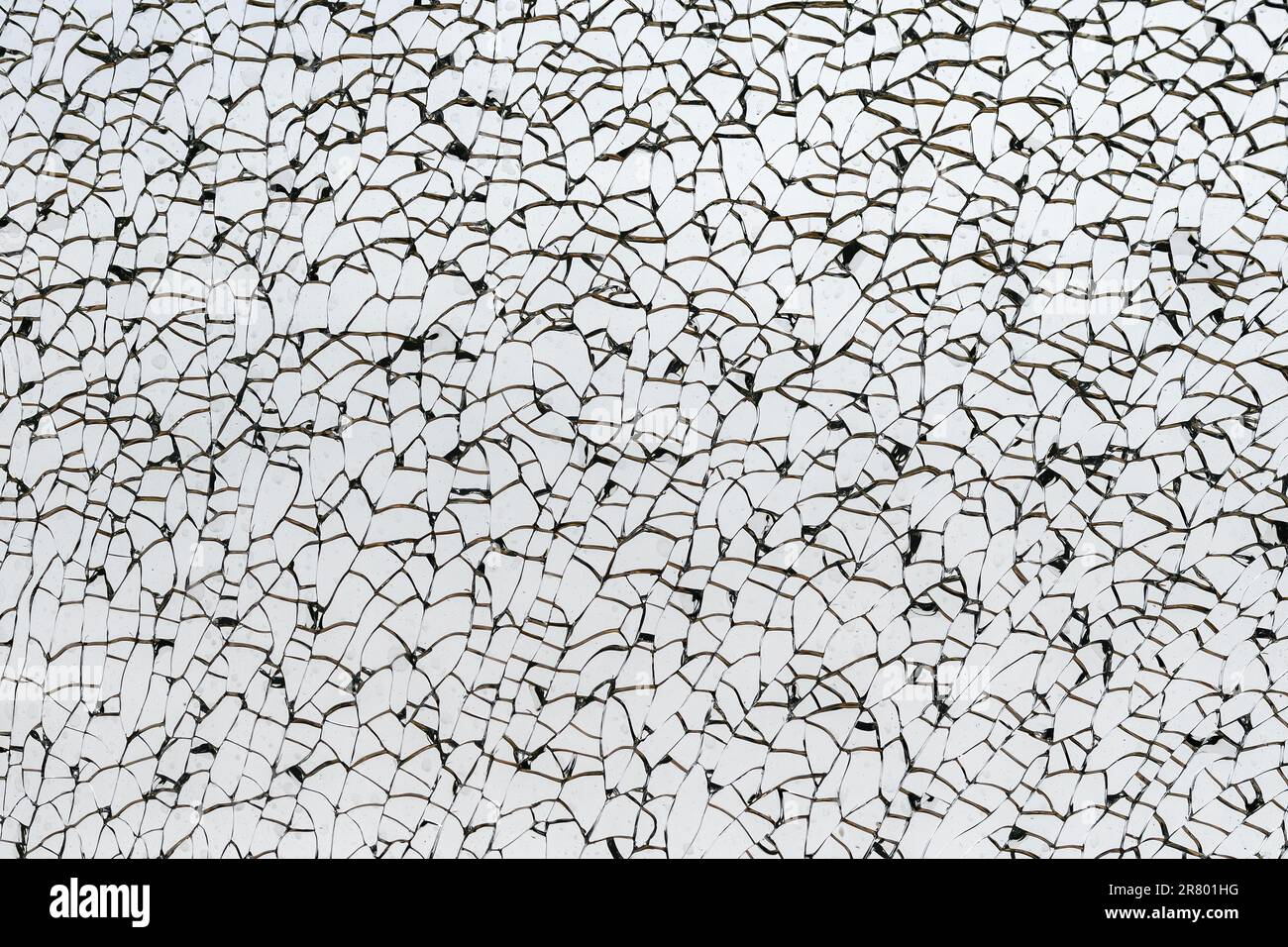 Makroaufnahme eines zerbrochenen Glasfensters. Risse verlaufen durch das Glas, aber es ist kein Loch sichtbar. Stockfoto