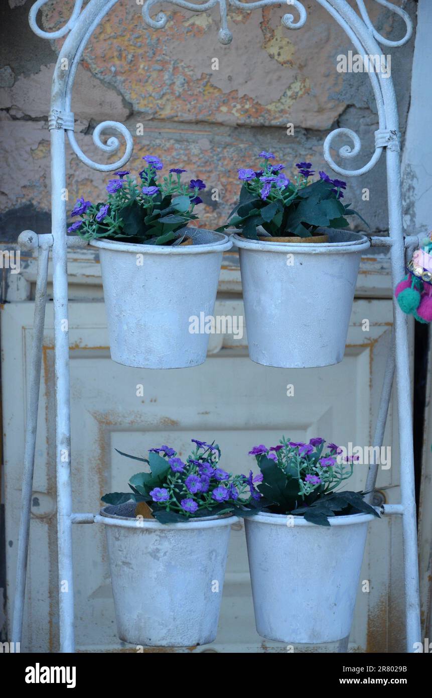 Kleiner Blumenladen mit bunten Blumen Stockfoto