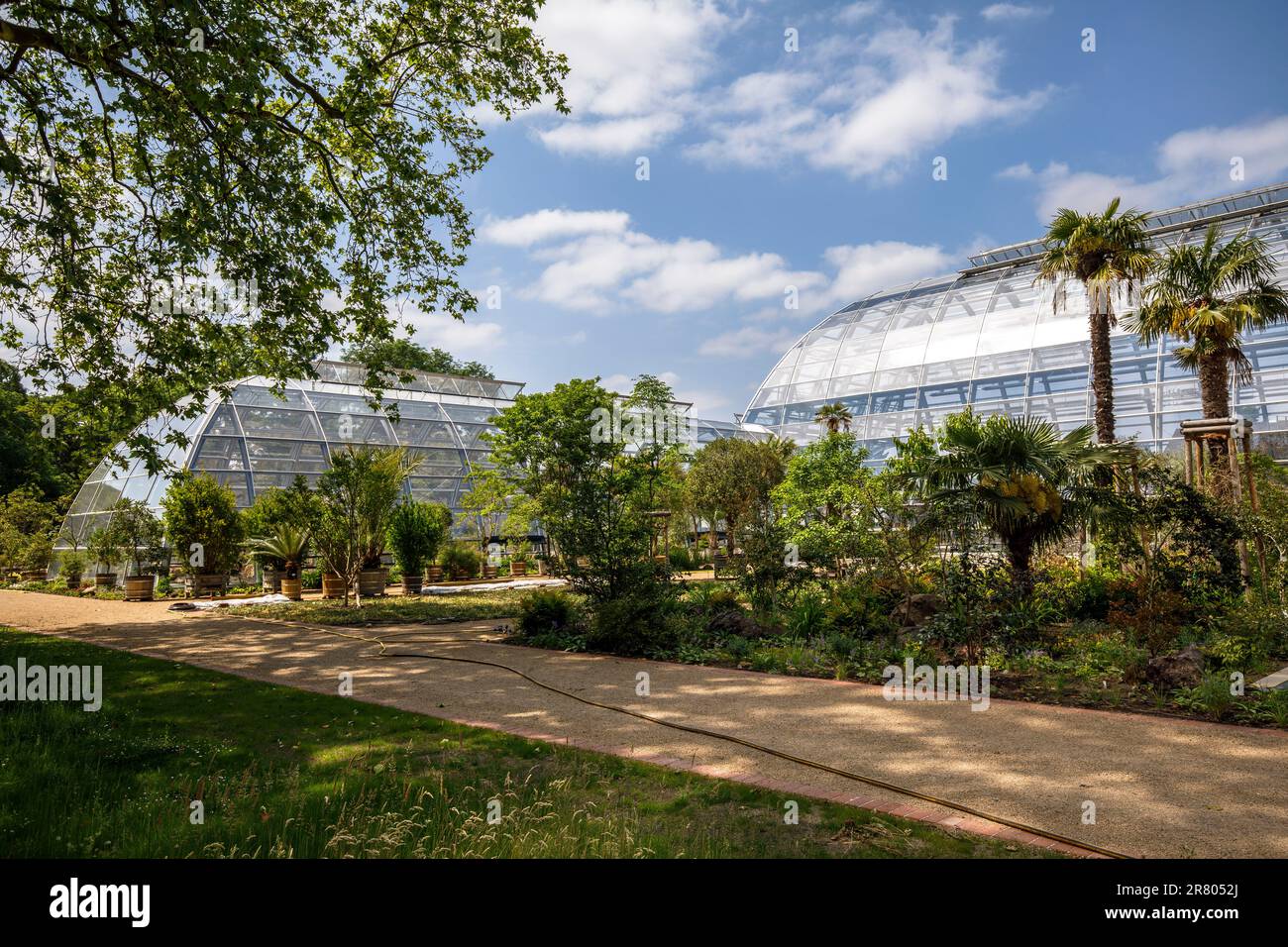 Die neuen Gewächshäuser der Flora, Botanischer Garten, Köln, Deutschland. Die neue Schaugewaechshaeuser der Flora, Botanischer Garten, Köln, Deutschland Stockfoto