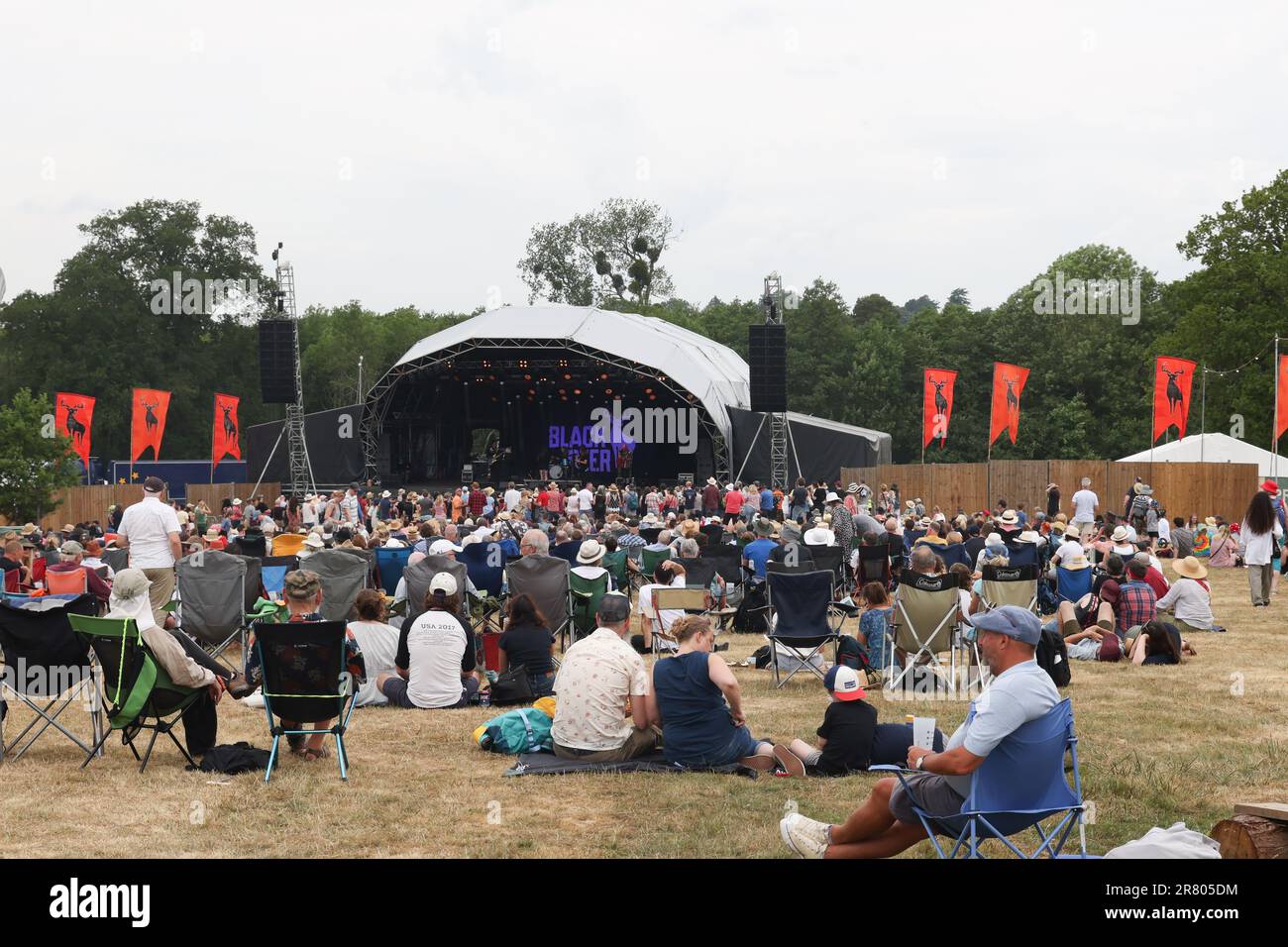 Black Deer Festival, Kent, Großbritannien - 18. Juni Stimmung Shots Black Deer Festival, Eridge Park, Kent. Kredit: Jill O'Donnell/Alamy Live News Stockfoto