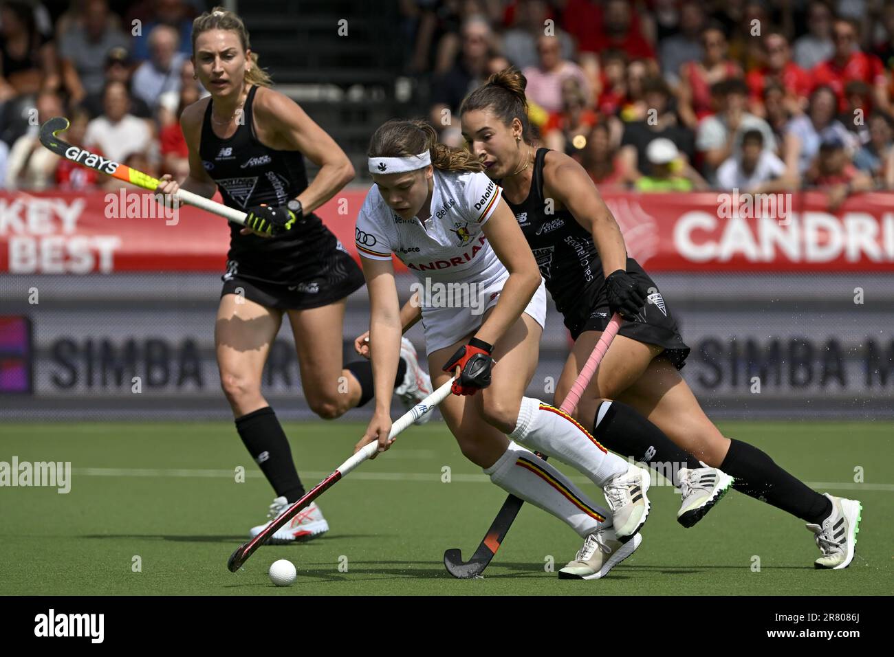 Die belgische Emily White in Aktion während eines Hockeyspiels zwischen der belgischen Nationalmannschaft Red Panthers und Neuseeland, das am Sonntag, den 18. Juni 2023 in Antwerpen stattfand, in der Gruppenphase der Women's FIH Pro League 2023 im Spiel 6/12 stattfand. BELGA FOTO DIRK WAEM Stockfoto