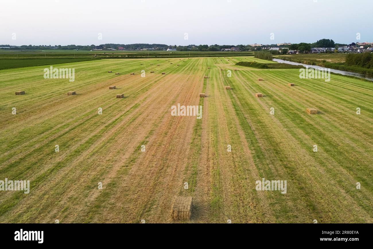 Luftaufnahme von Heuballen auf einem frisch geschnittenen Feld Stockfoto