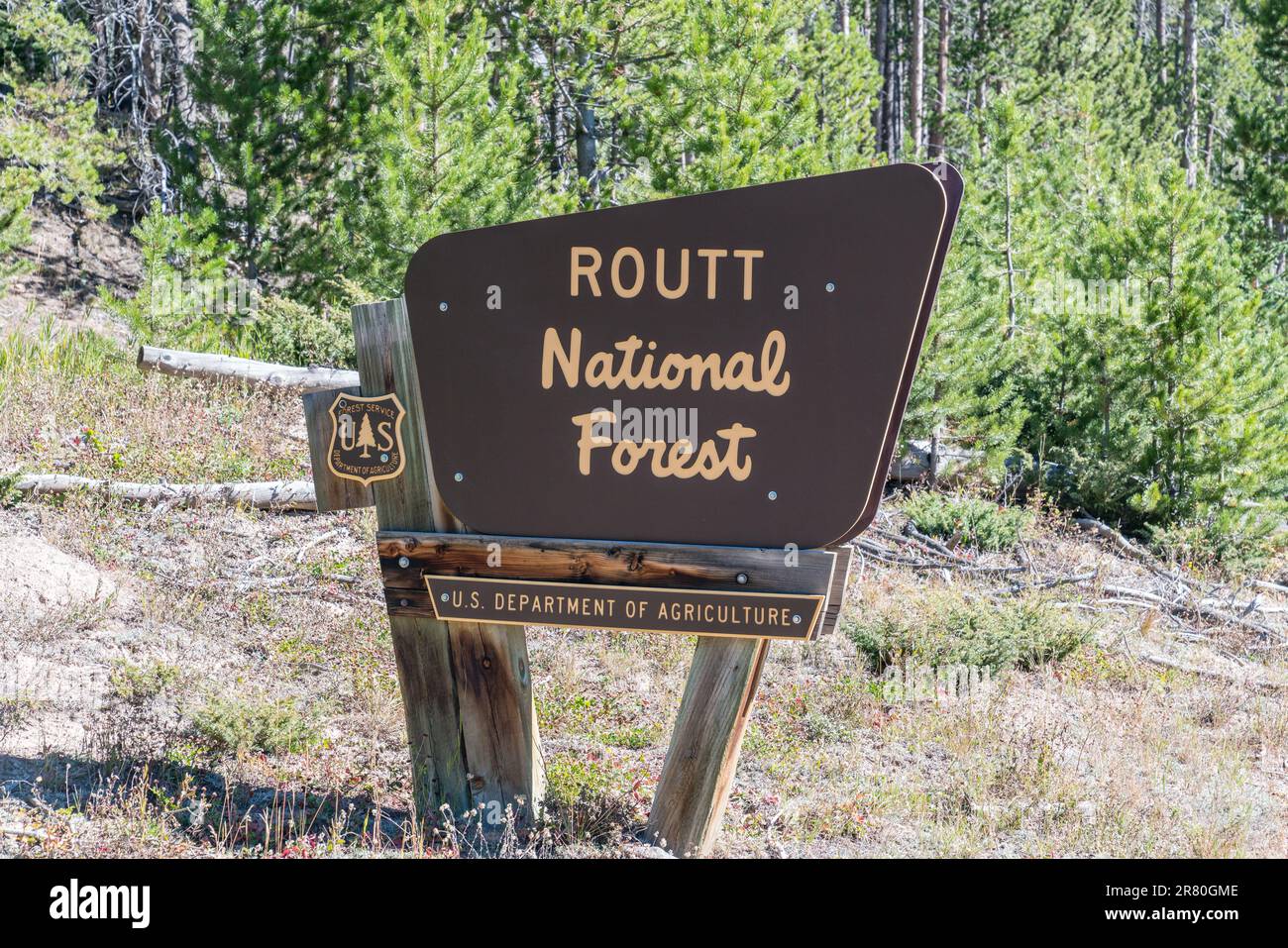 Begrüßungsschild am Straßenrand im Routt National Forest in Colorado Stockfoto