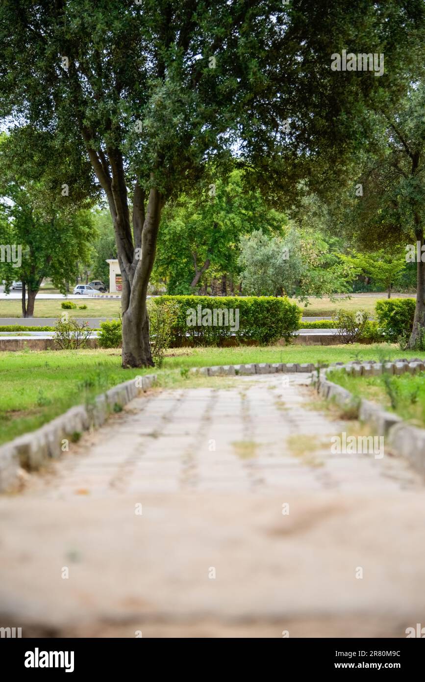 Ein Pfad führt durch den Park von einem Rastplatz auf der Autobahn von Lahore nach Islamabad. Stockfoto