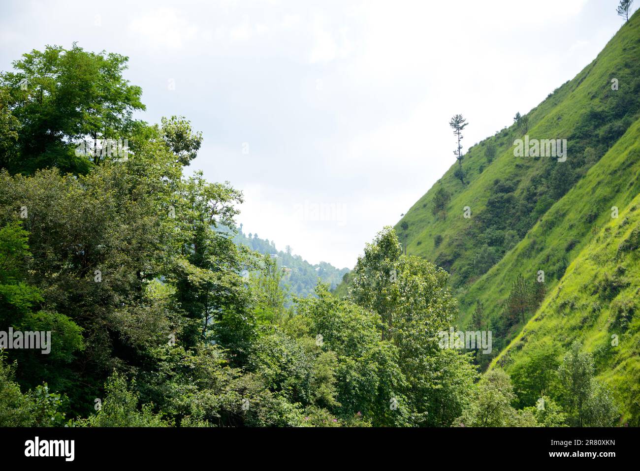 Berge und Vellay in Nathia Gali, Abbottabad, Pakistan. Stockfoto