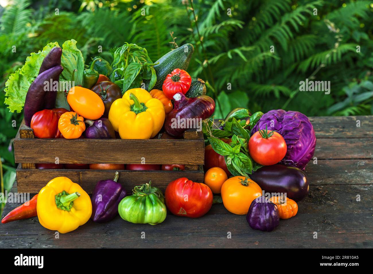 Frisches Bio-Gemüse in einer Holzkiste auf einem rustikalen Tisch im Garten. Agrar- oder Erntekonzept Stockfoto