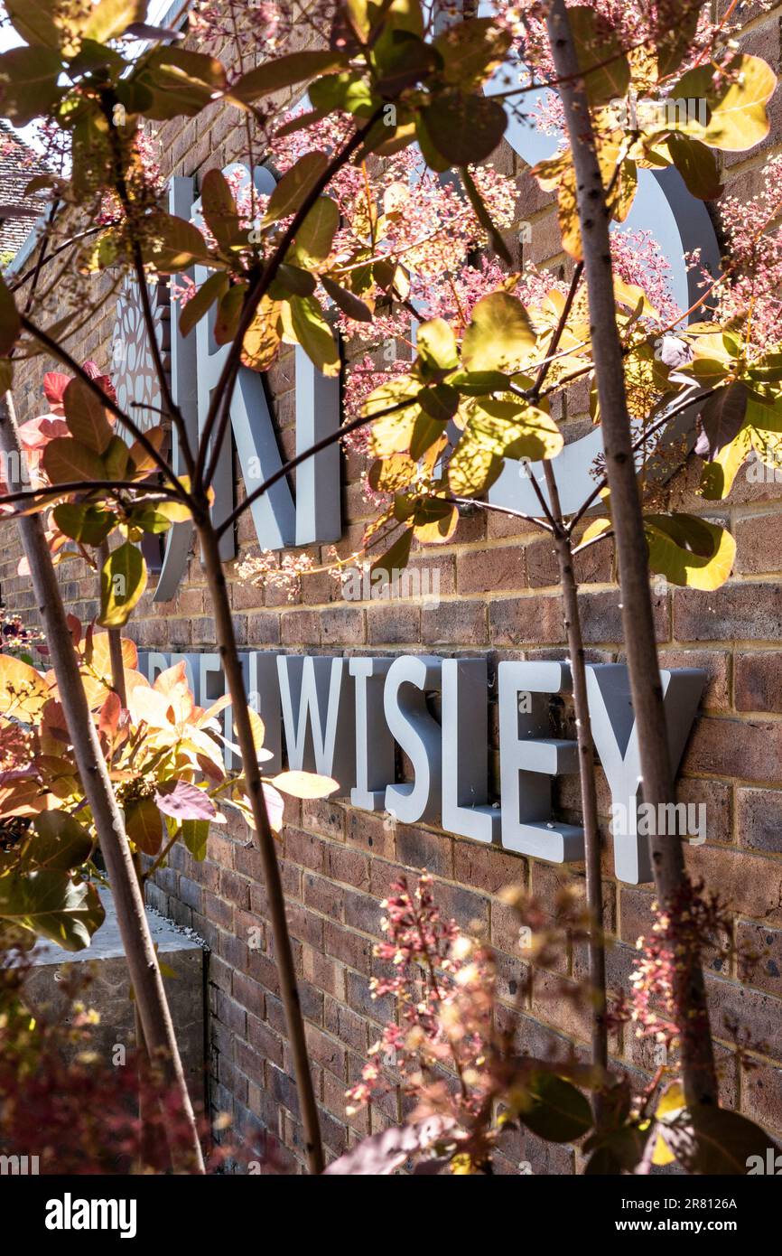 Rechts: Garden Wisley Eingangsschild. Zeitgenössischer Blick auf Cotinus „Candy Floss“ am Eingang zum RHS Horticultural Garden Wisley Surrey UK Stockfoto