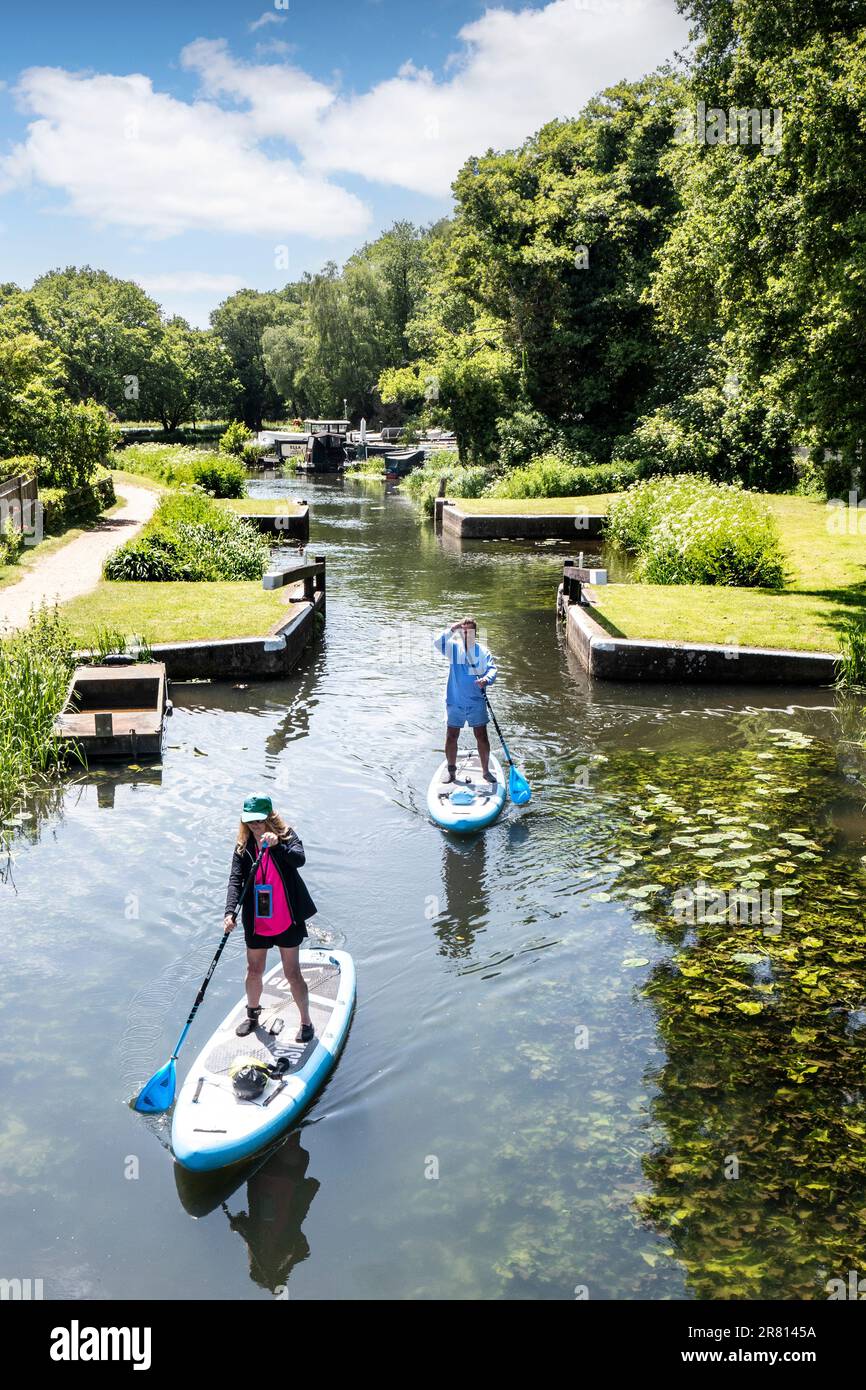 Paddelboarder fahren flussabwärts durch Walsham Lock Gates auf dem Fluss Wey, an einem ruhigen, sonnigen Frühling/Sommer-Tag in Surrey UK Stockfoto