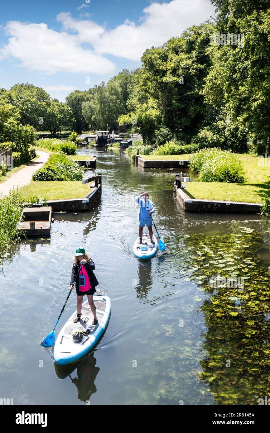 Paddelboarder paddeln flussabwärts durch die Walsham Lock Gates am River Wey, an einem ruhigen sonnigen Frühlings-/Sommertag in Surrey UK Stockfoto