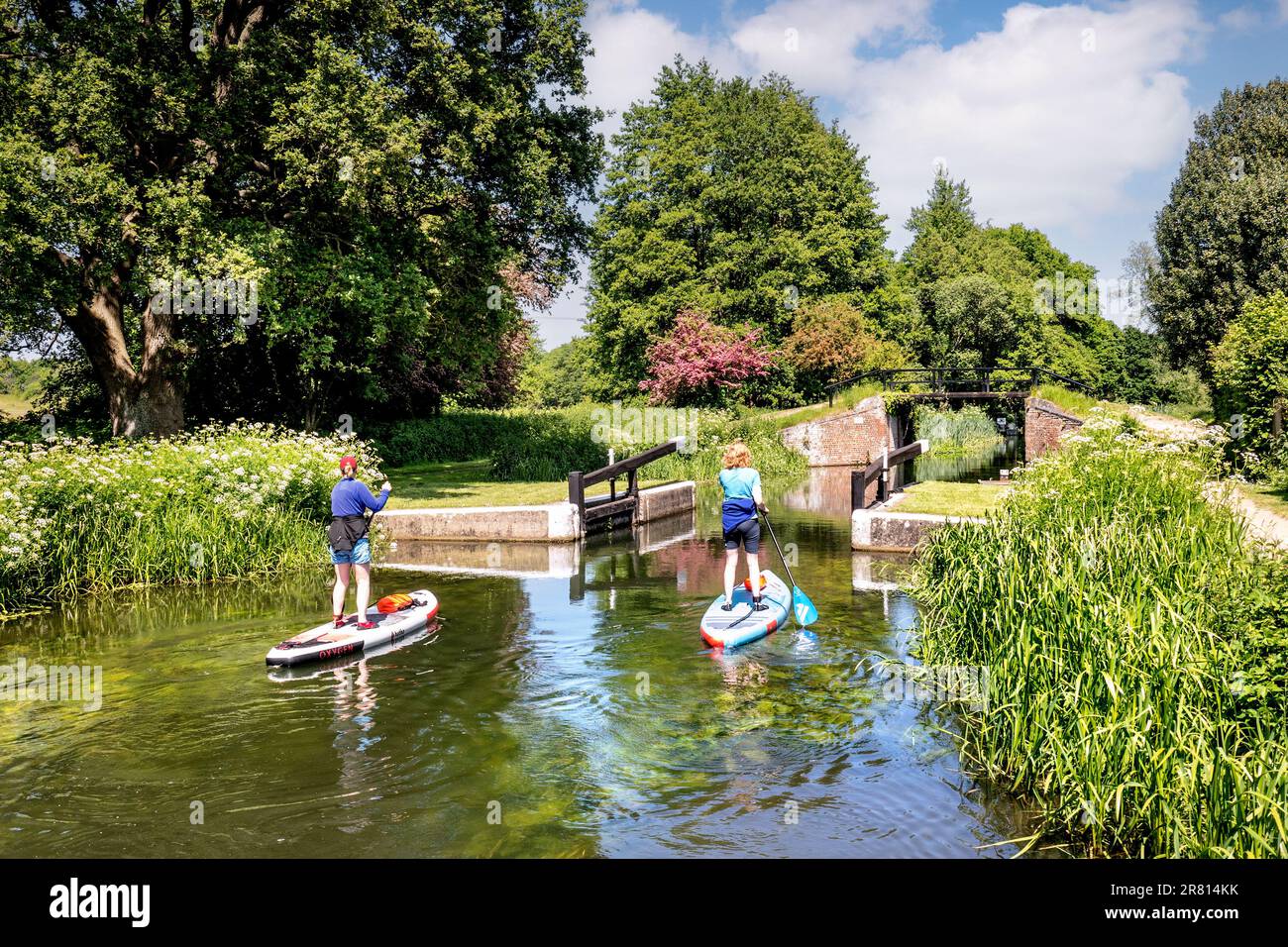 Paddelfahrer fahren flussaufwärts durch Walsham Lock Gates auf dem Fluss Wey, an einem ruhigen, sonnigen Frühlings-/Sommertag in Surrey UK Stockfoto