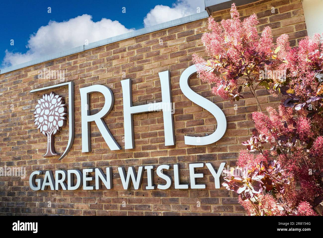 Rechts: Garden Wisley Eingangsschild. Modernes Schild eingerahmt von Cotinus „Candy Floss“ am Eingang zum RHS Horticultural Garden Wisley Surrey UK Stockfoto