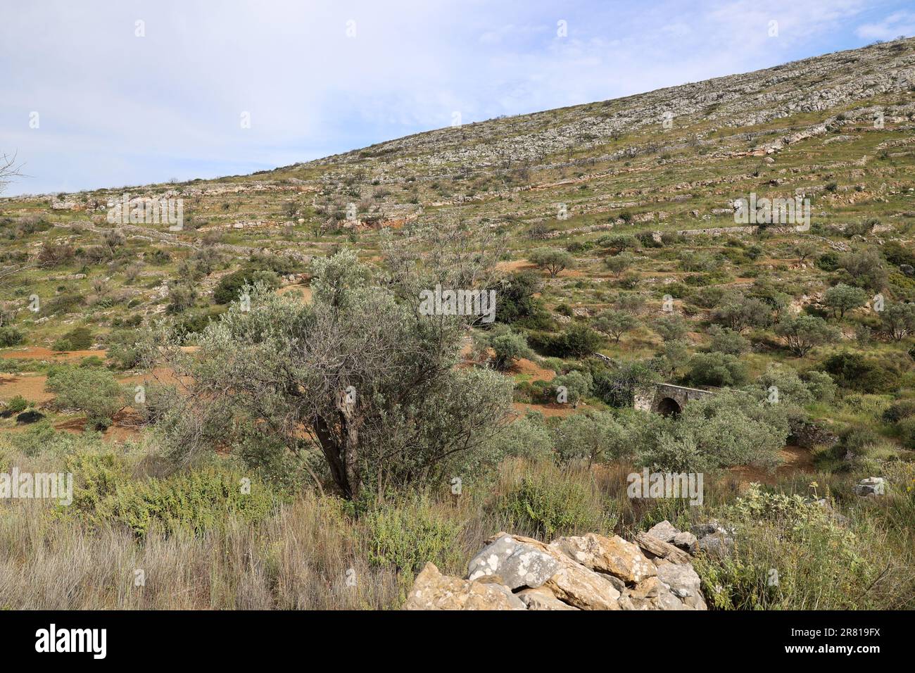 Wanderweg im Bergdorf Lefkes-Greece Stockfoto