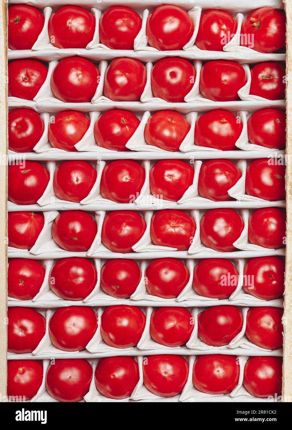 Tomaten-Schachtel, Nahaufnahme. Reife Tomaten liegen in geraden Reihen in einer Schachtel zum Verkauf. Obstlieferung. Stockfoto