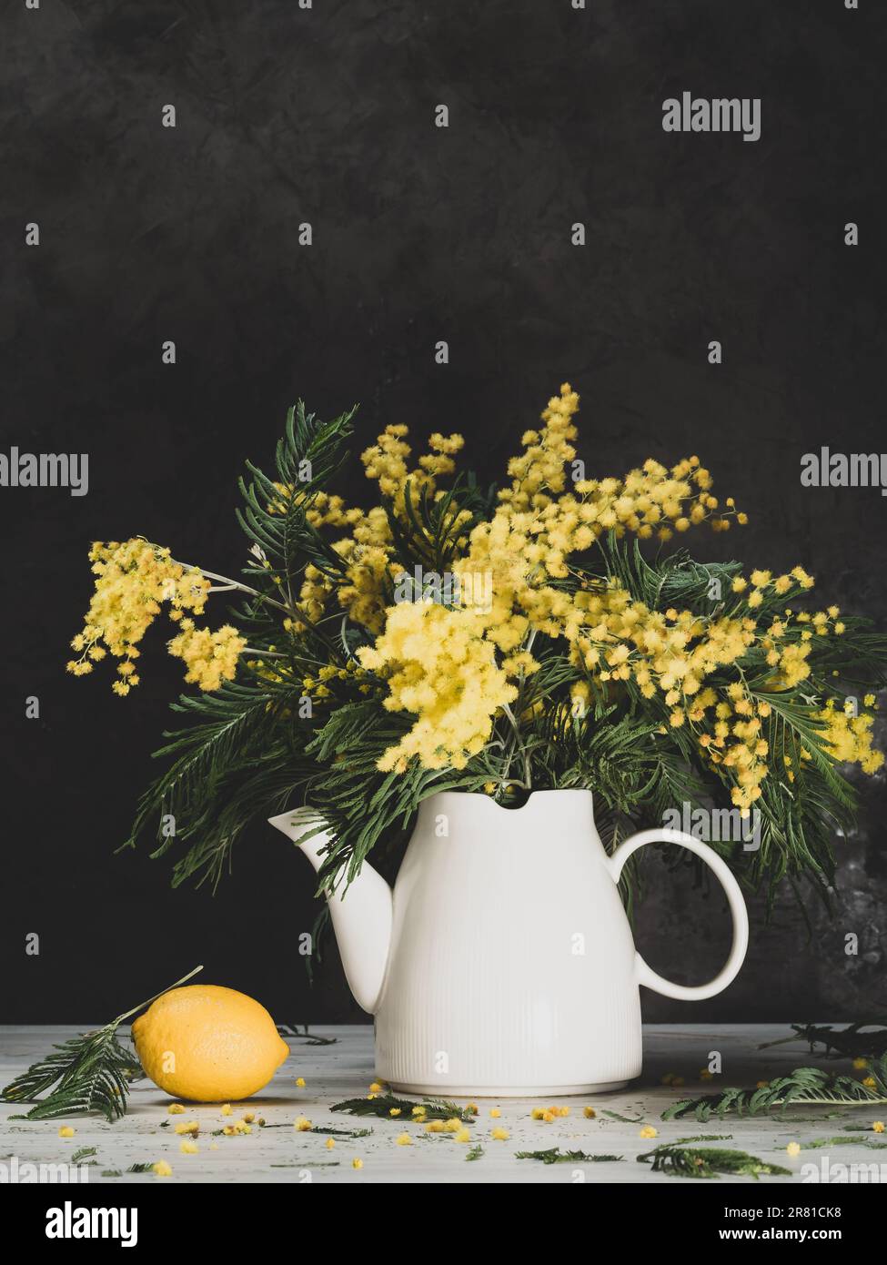 Stillleben - gelbe Mimosa, weiße Kanne und Zitrone, auf grauem Hintergrund Stockfoto