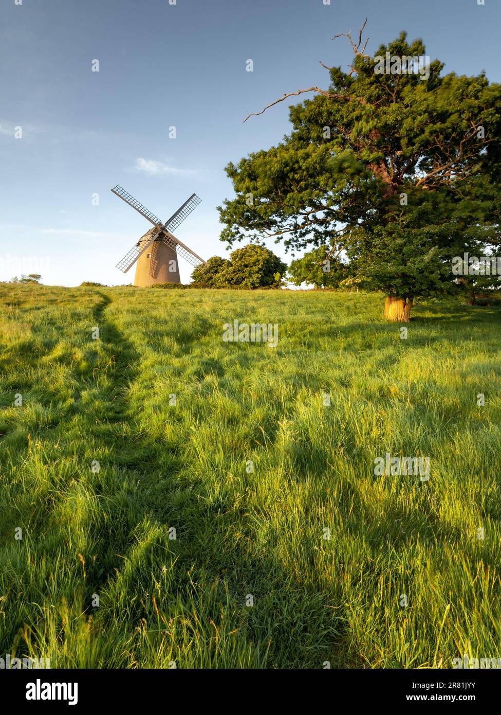 Entdecken Sie die zeitlose Schönheit der Isle of Wight: Wo Träume auf den flüsternden Wind treffen Stockfoto