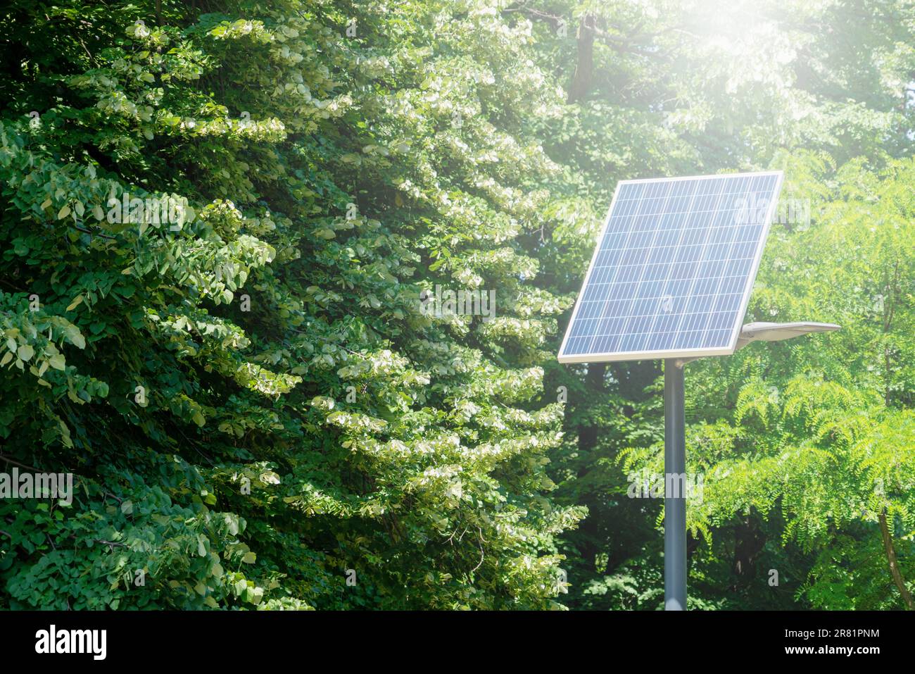 Umweltschutztechnologie Solarenergie-Panel vor dem Hintergrund grüner Wälder. Stockfoto
