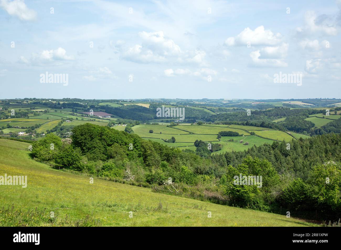 High Bickington, North Devon, England, Vereinigtes Königreich. Stockfoto