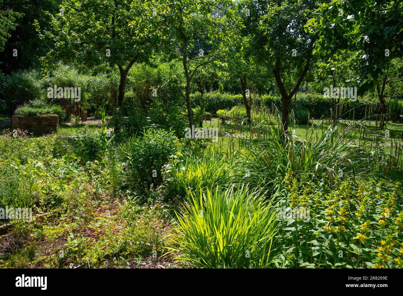 Gemeindegarten im Reddish Vale Country Park, Stockport, Greater Manchester, England. Stockfoto