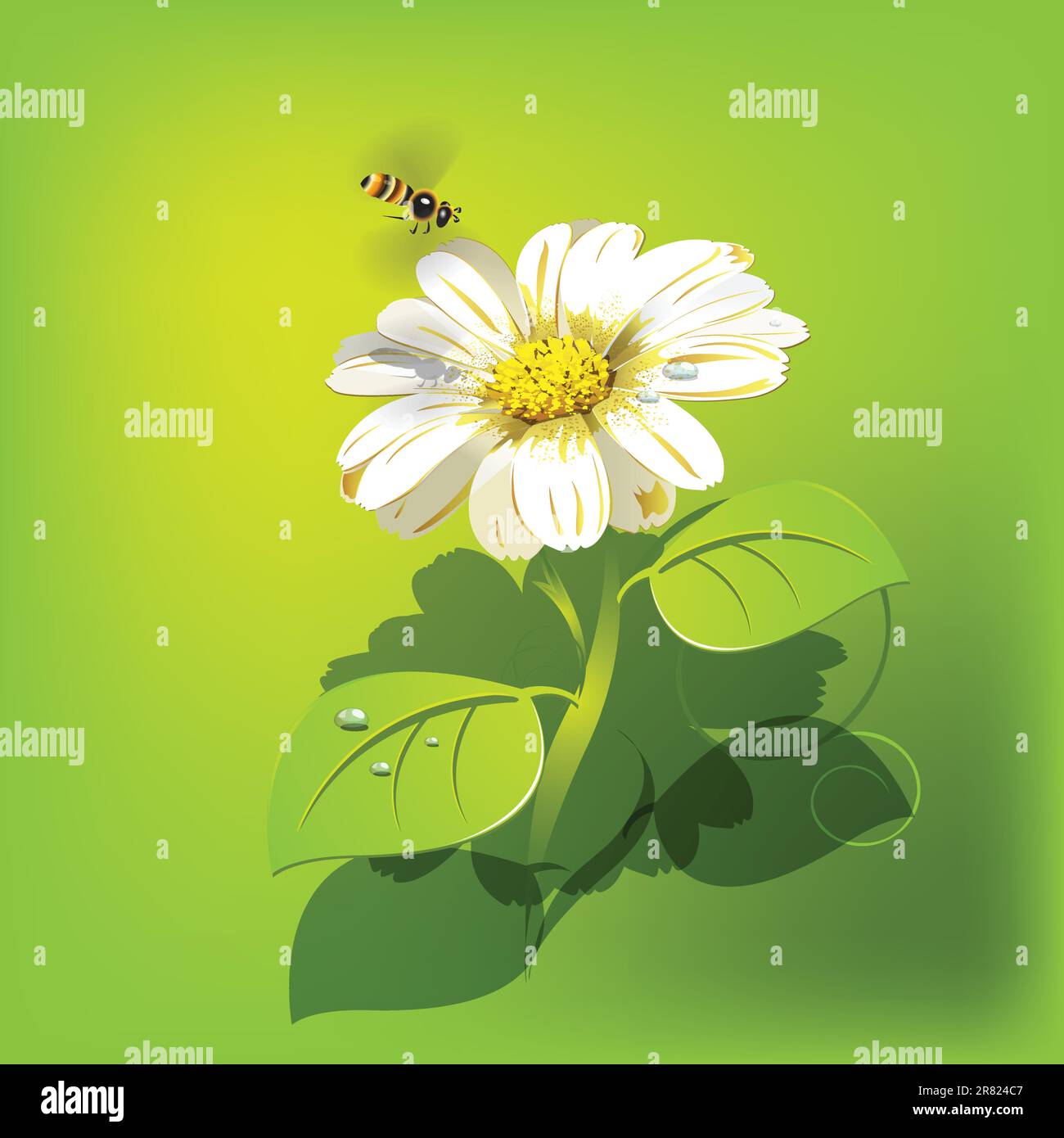 Illustration: Biene fliegt auf weißer Blume auf grünem Hintergrund EPS 10 mit Transparenz Stock Vektor