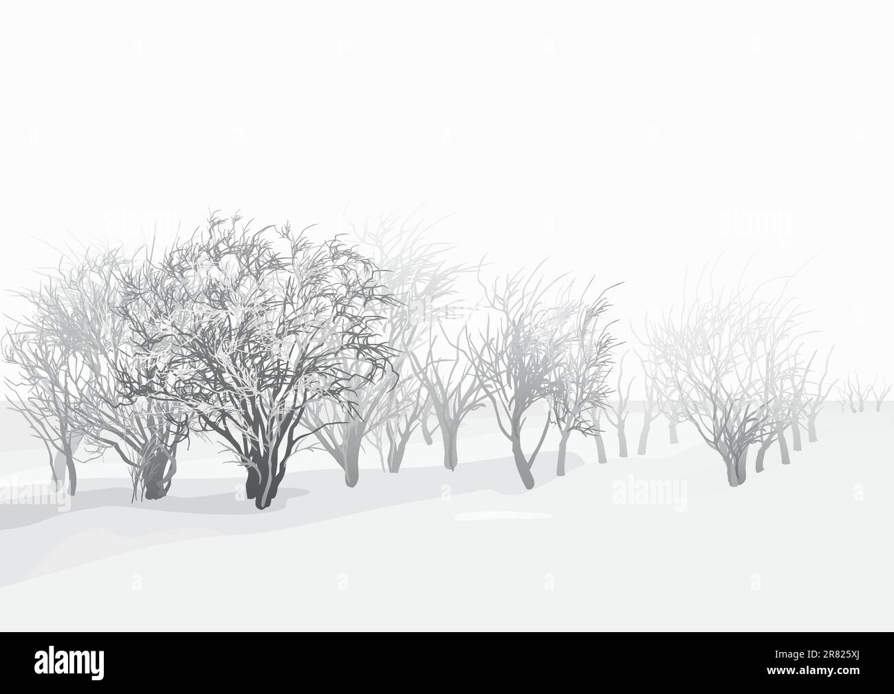 Bäume auf Schneeebene an bewölktem Wintertag. Stock Vektor