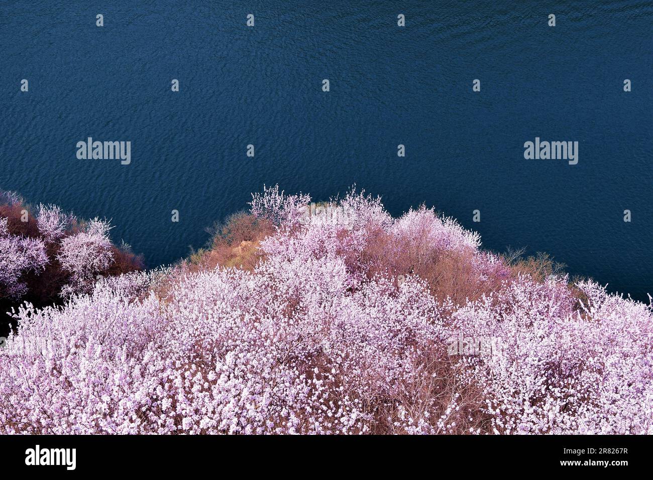 Entdecken Sie Ruhe in dieser majestätischen Naturszene mit Bäumen, See, Bergen und einem faszinierenden blauen Himmel. Eine faszinierende aussicht auf unberührte Wildnis Stockfoto