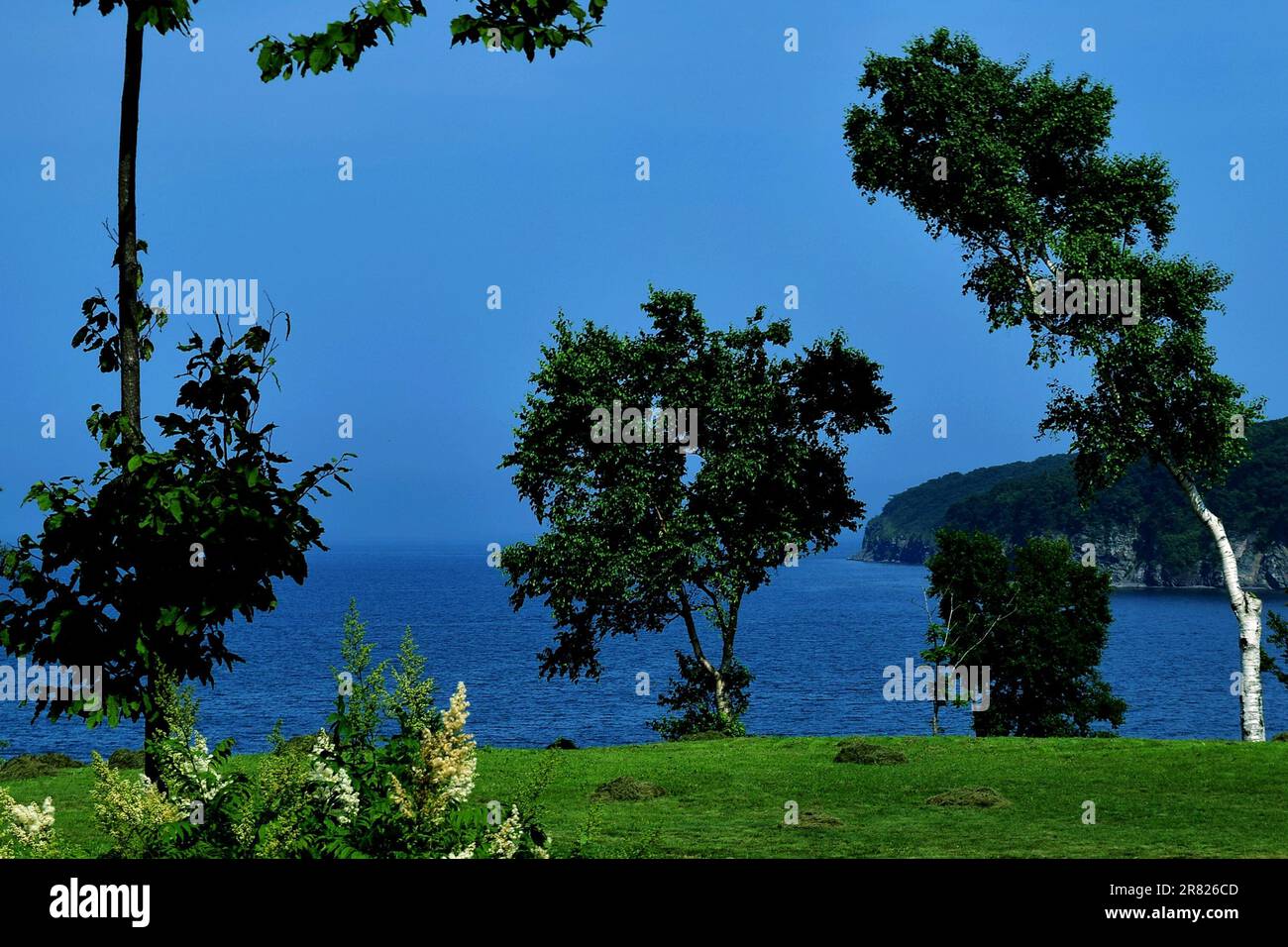 Entdecken Sie Ruhe in dieser majestätischen Naturszene mit Bäumen, See, Bergen und einem faszinierenden blauen Himmel. Eine faszinierende aussicht auf unberührte Wildnis Stockfoto