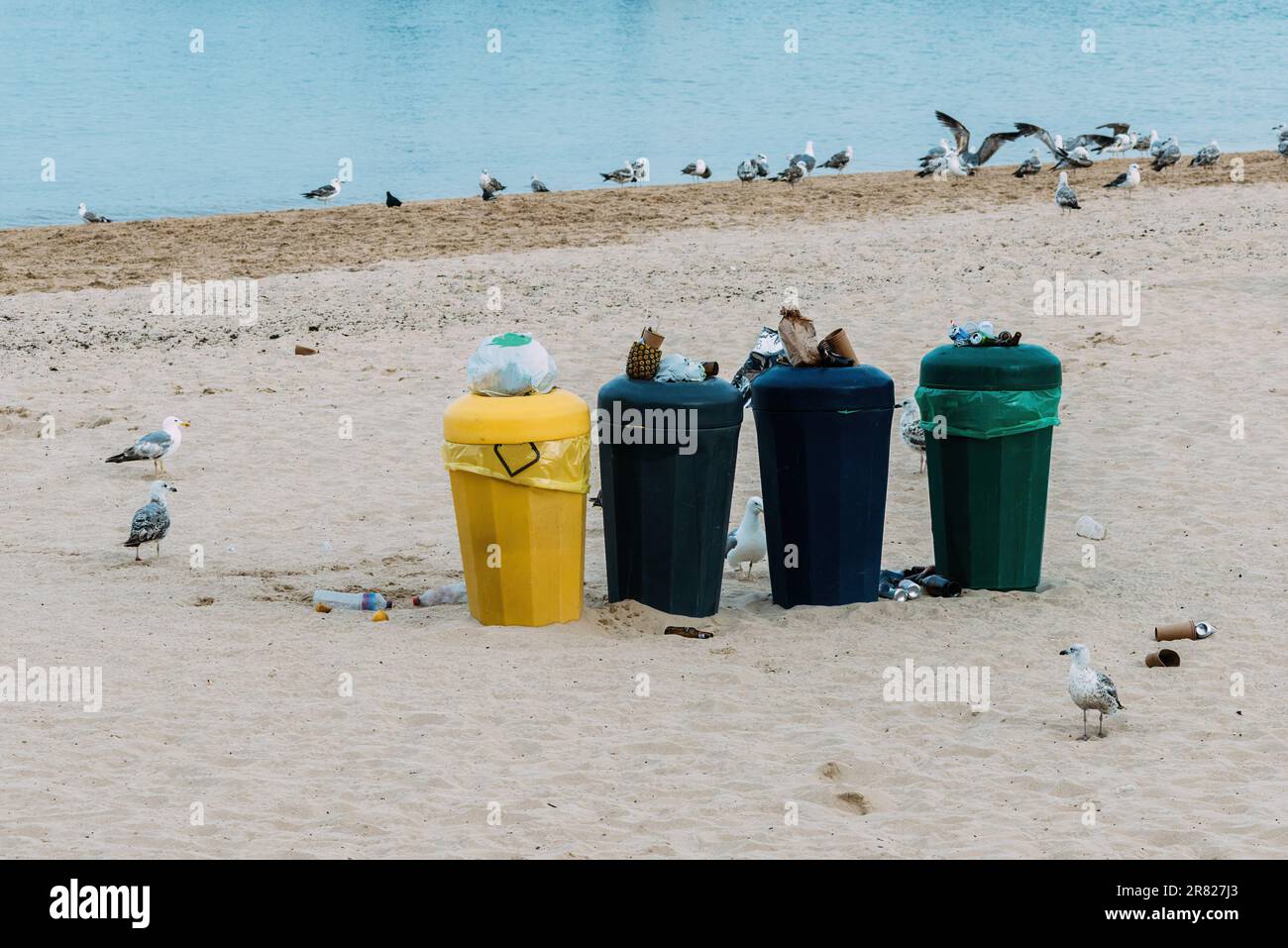 Müll oder Müll am Strand mit Plastik und Flaschen mit Möwen im Hintergrund. Stockfoto