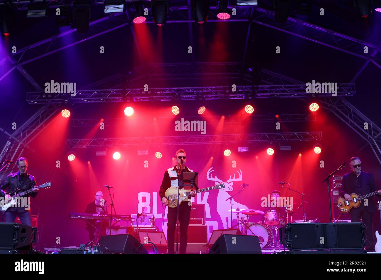 Black Deer Festival, Kent, Großbritannien - 18. Juni Richard Hawley leitet die Hauptbühne der letzten Nacht beim Black Deer Festival, Eridge Park, Kent. Kredit: Jill O'Donnell/Alamy Live News Stockfoto