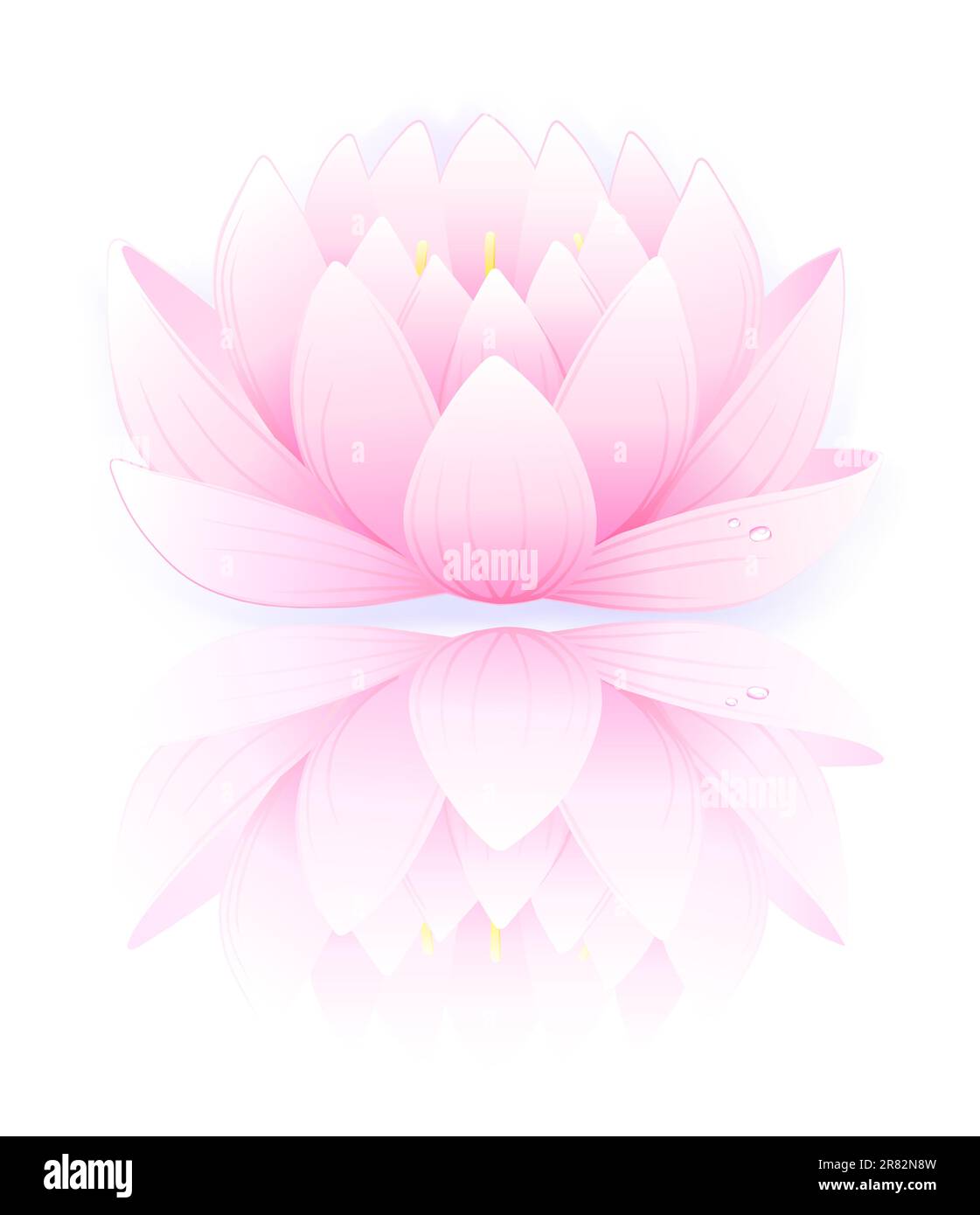 Vektordarstellung eines pinkfarbenen Lotus, isoliert auf weißem Hintergrund Stock Vektor