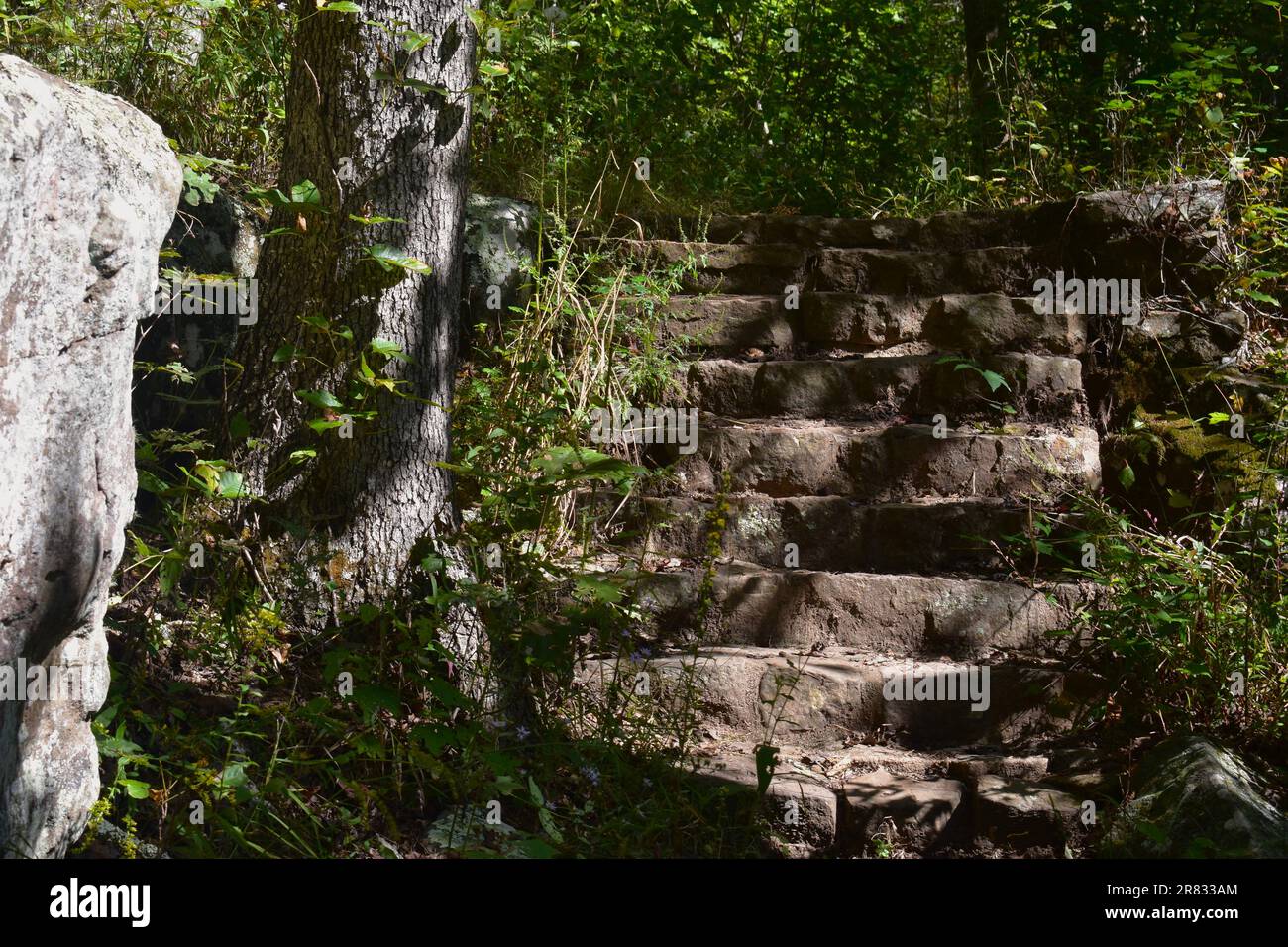 Stein- und Betontreppen in der Pedestal Rocks Scenic Area, Pelsor, Sand Gap, Witts Spring, Arkansas, Ozark-St. Francis National Forest Stockfoto