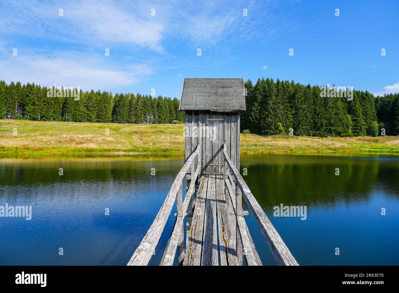 Blick auf die Landschaft am Wasserläufer Teich bei Clausthal-Zellerfeld. Idyllische Natur am See im Harz-Nationalpark. Ein alter Bergbauteich. Wate Stockfoto