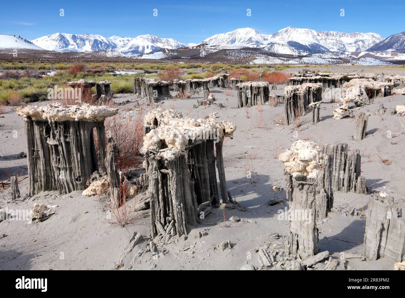 Sandtuffstein, Navy Beach, Mono Lake, östliche Sierra, Kalifornien, USA Stockfoto