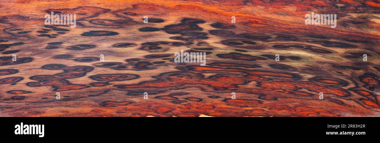 Siam-Rosewood-Textur natürliche Musterholzoberfläche Stockfoto