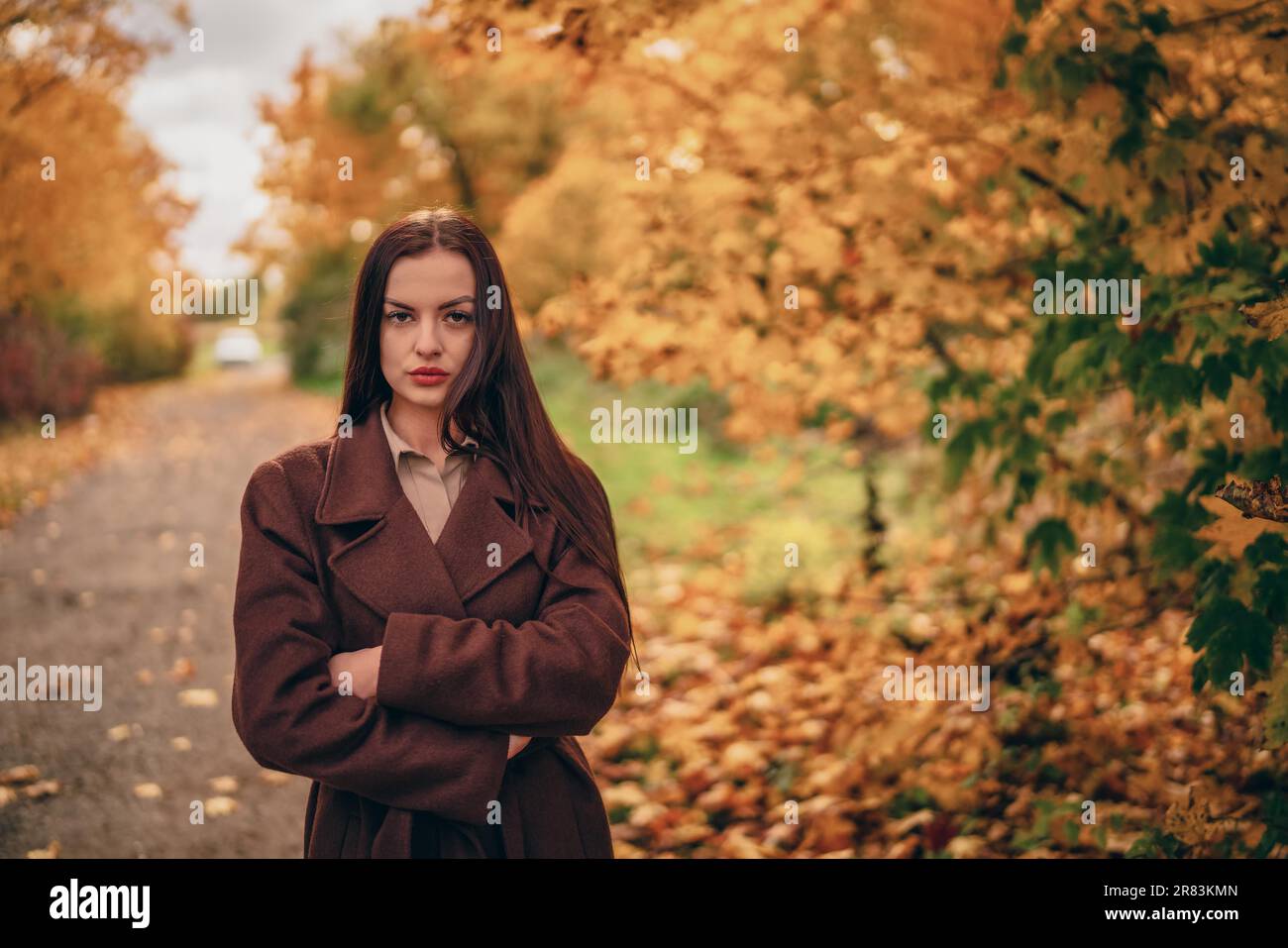 Junge schöne Frau in braunem Mantel im Park im Herbst Stockfoto