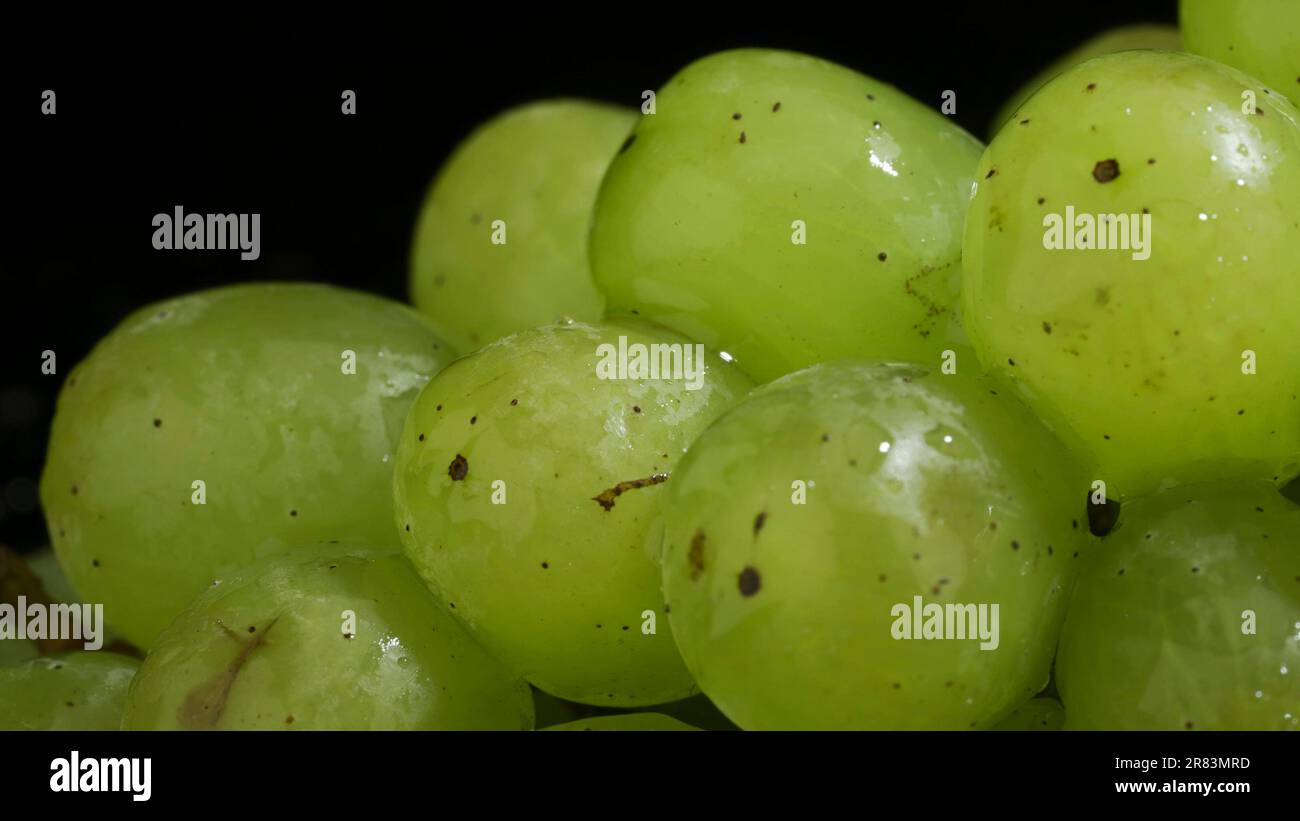 Ein Haufen grüner Trauben mit Wassertropfen. Nahaufnahme Stockfoto