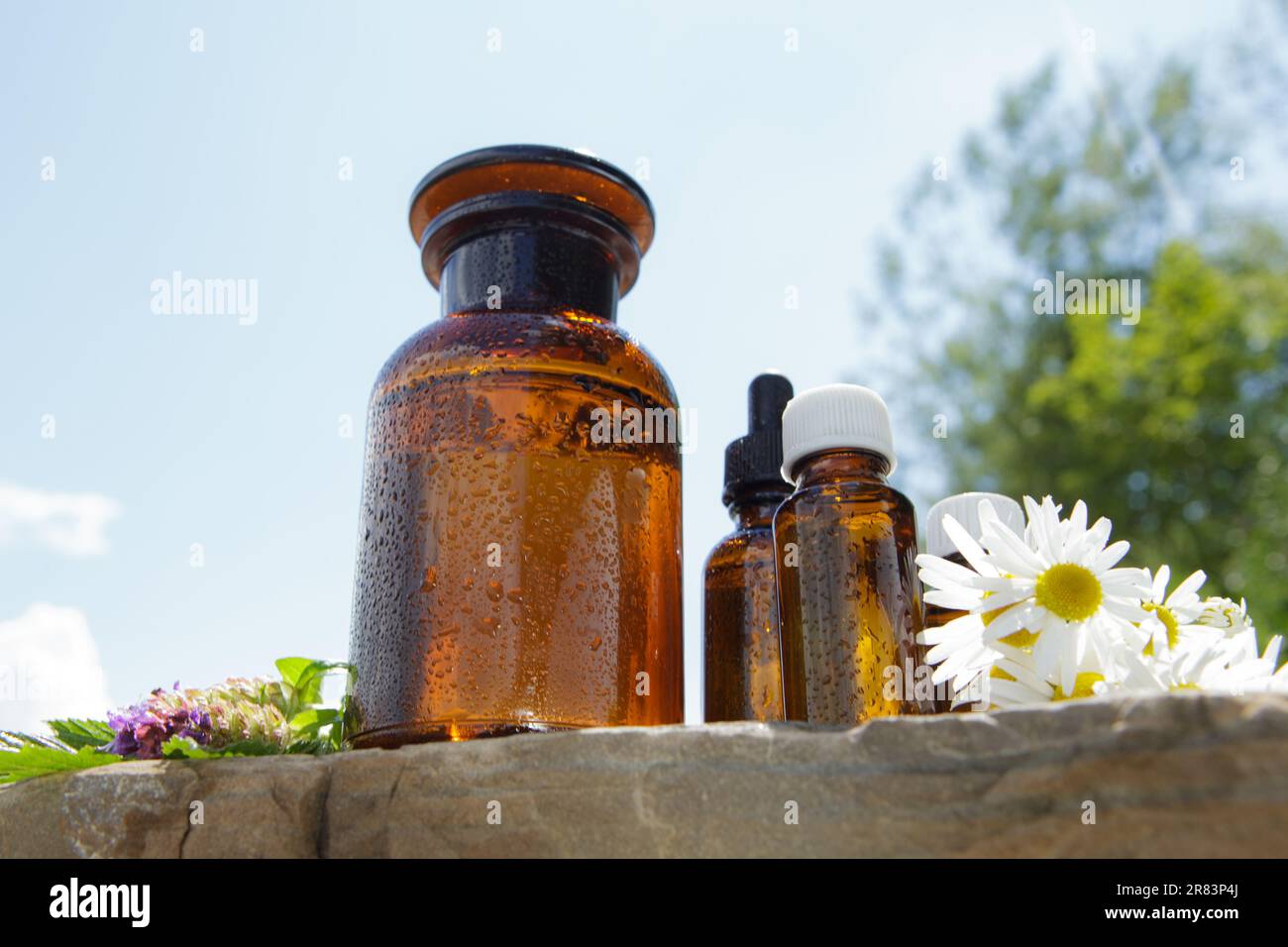 Natürliche Kräuter, Zusammensetzung von medizinischen Flaschen und frische Kräuter. Alternative Behandlung. Stockfoto