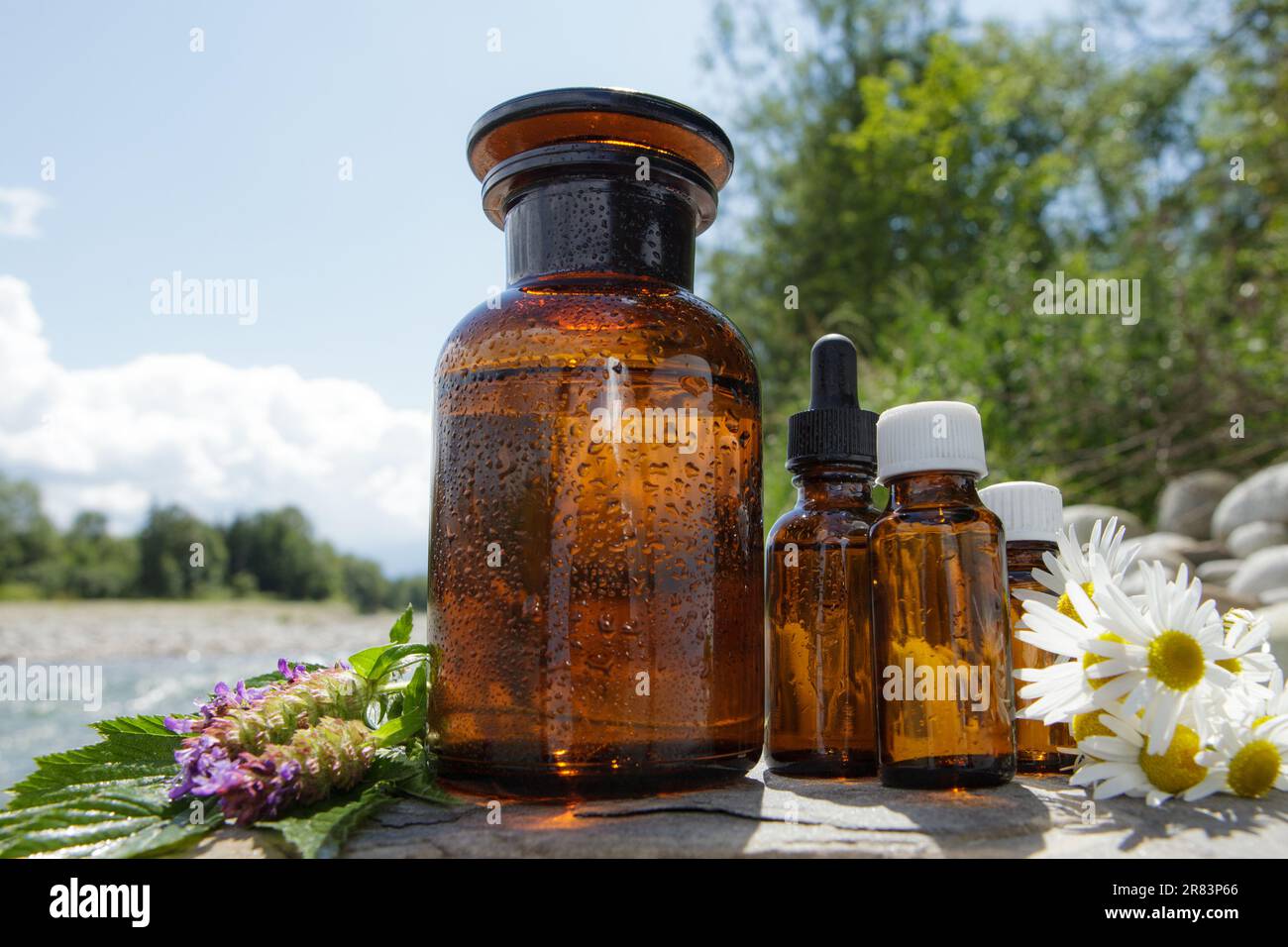 Zusammensetzung von medizinischen Utensilien und frischen Kräuterblumen. Naturmedizin Stockfoto