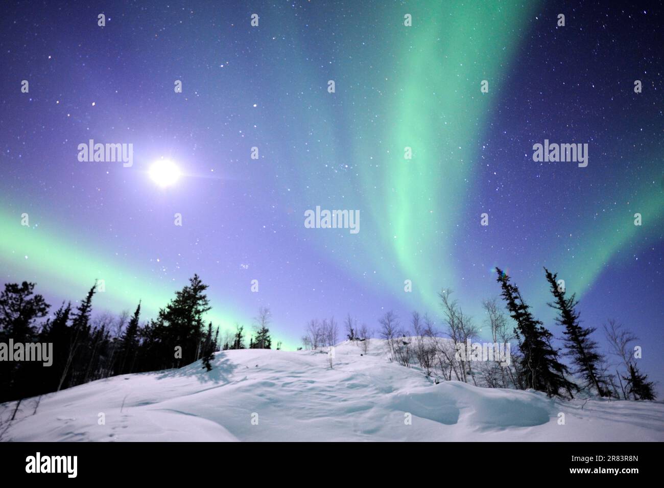 Northern Lights, Northwest Territories (Aurora borealis), Kanada Stockfoto