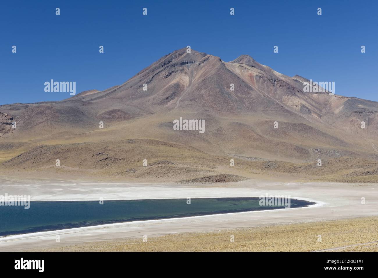 Miscanti Lagoon und Miniques Vulkan, Atacama Salzwerk, Atacama Wüste, Chile Stockfoto