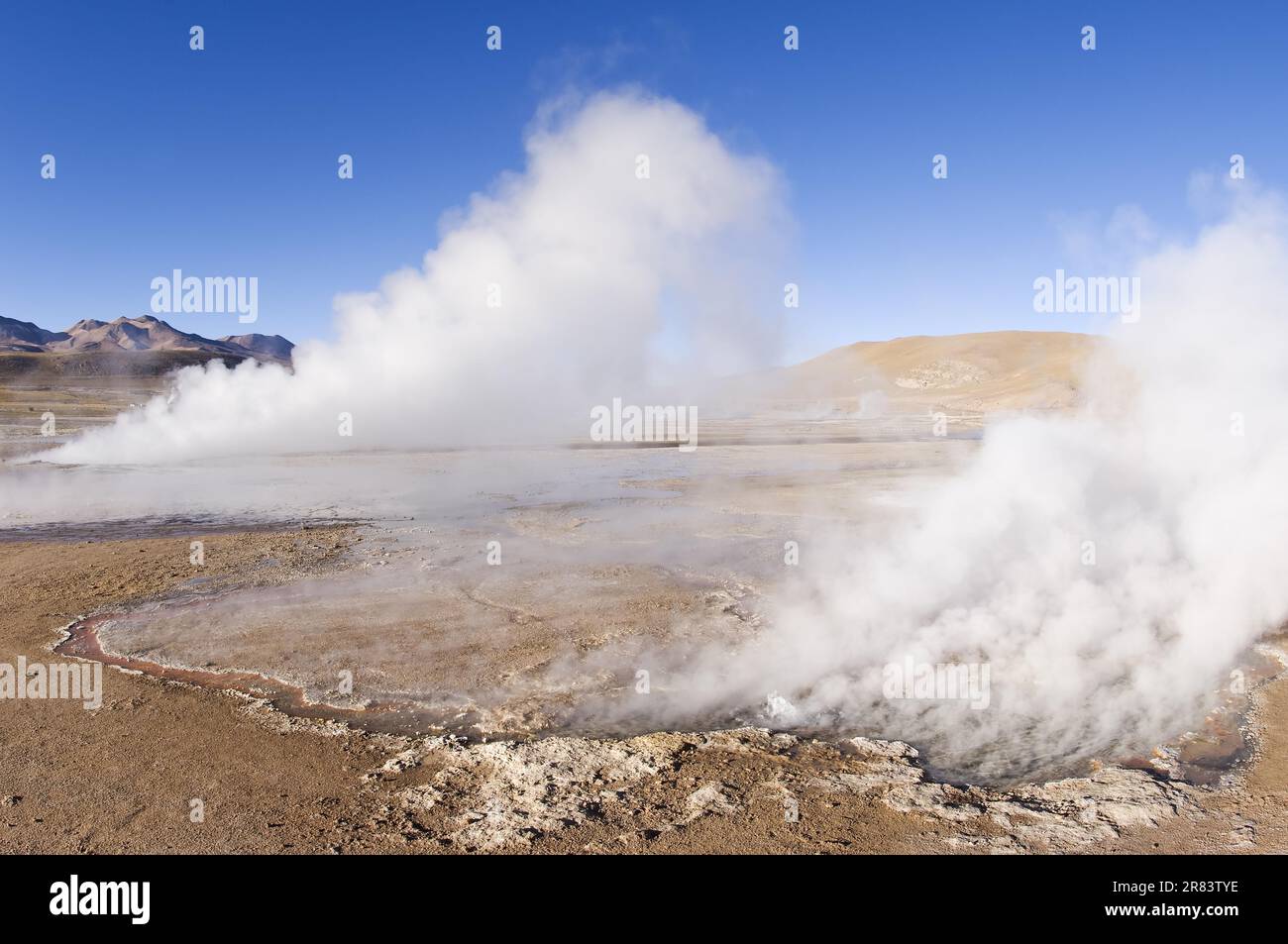 El Tatio Geyser, Atacama Wüste, Antofagasto Region, Chile Stockfoto