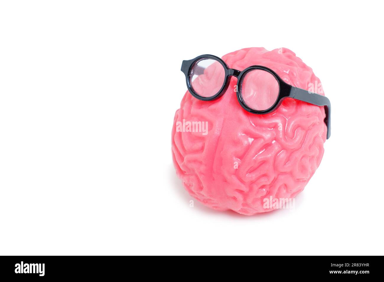 Das gelee-ähnliche anatomische Modell des menschlichen Gehirns, geschmückt mit einer stilvollen Brille, isoliert auf Weiß. Bildungs- und Lernkonzept. Stockfoto