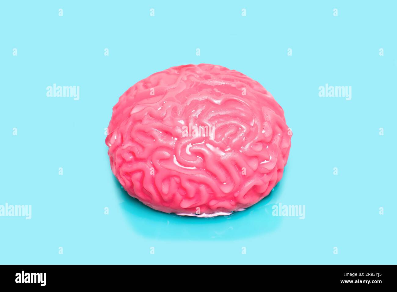 Das nasse, gelee-ähnliche Modell des menschlichen Gehirns ruht sanft auf einem ruhigen blauen Hintergrund. Kreatives mentelles Reinigungs- und Aufklärungskonzept. Stockfoto
