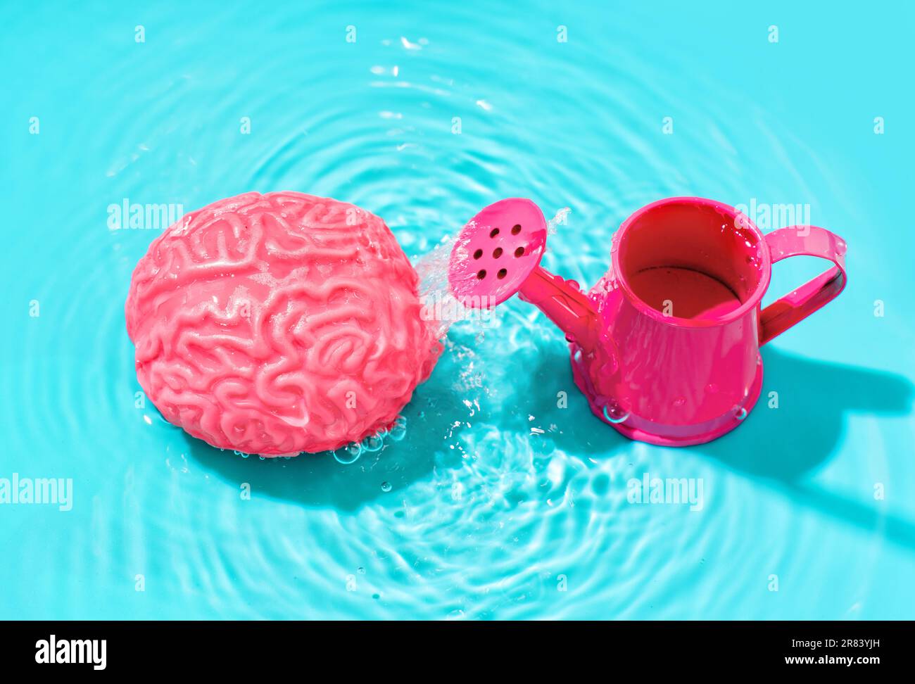 Ein Spielzeugmodell des menschlichen Gehirns und eine pinkfarbene Miniatur-Gießkanne können in einen Wasserpool vor blauer Kulisse eingetaucht werden, was die Förderung von Ideen A symbolisiert Stockfoto