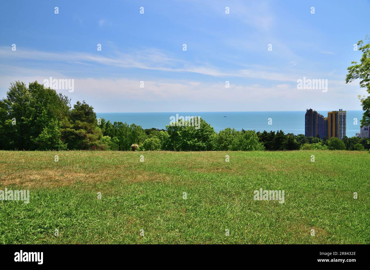Sotschi, Russland - Juni 5. 2018. Ein Stück Arboretum mit Blick auf das Schwarze Meer Stockfoto