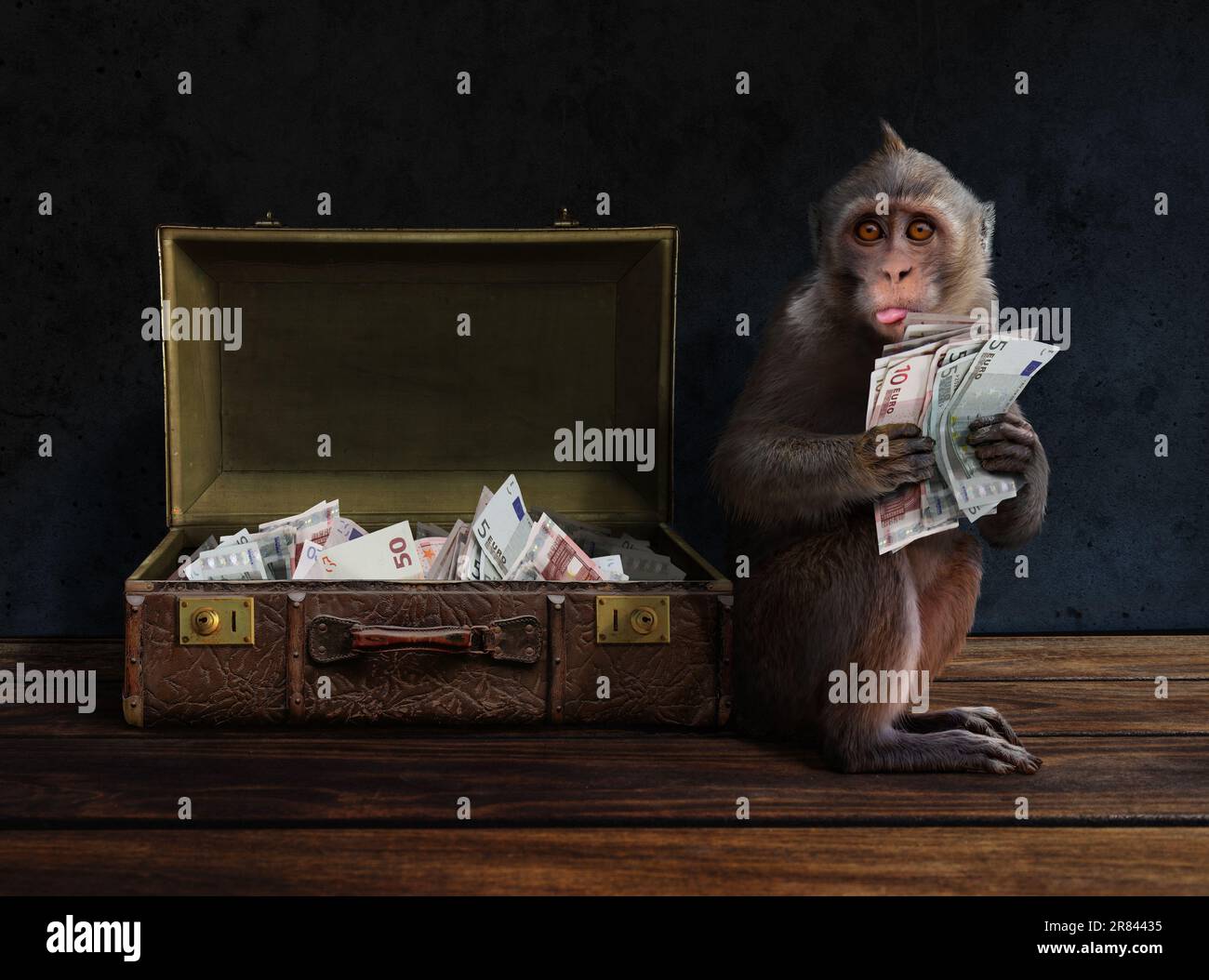 Intelligenter, schlauer Affe mit Geld und einem Koffer voller Bargeld. Stockfoto