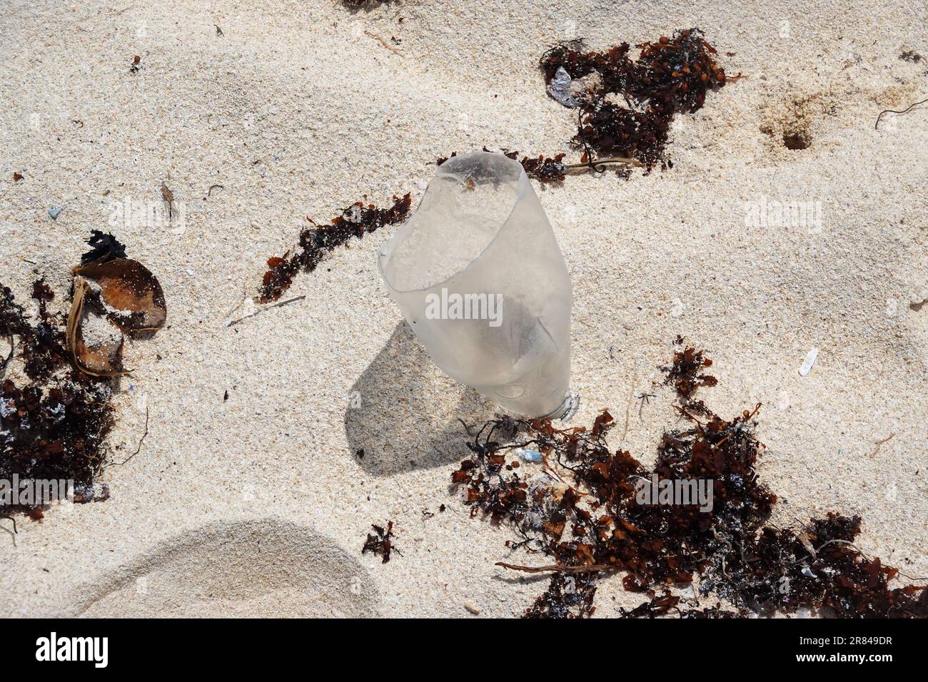 Plastikabfall, Strand von Mauritius Stockfoto