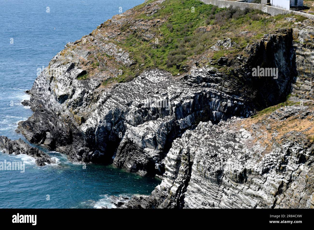 Der South Stack Lighthouse wurde auf der kleinen Insel vor der Nordwestküste von Holy Island, Anglesey, Wales, erbaut. Es wurde 1809 gebaut, um Schiffe vor dem Tod zu warnen Stockfoto